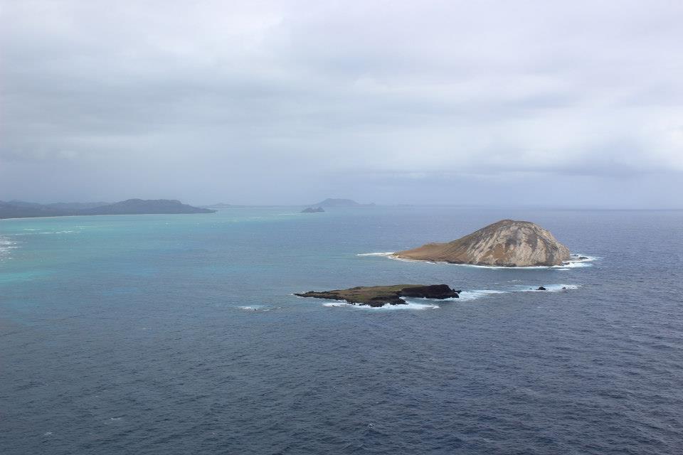 10525580_10154449381705297_7984558242563063921_n