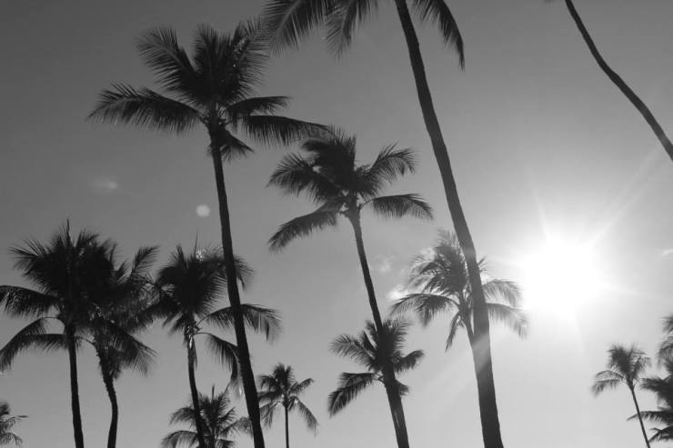 10570322_10154449386380297_862554999544923521_n