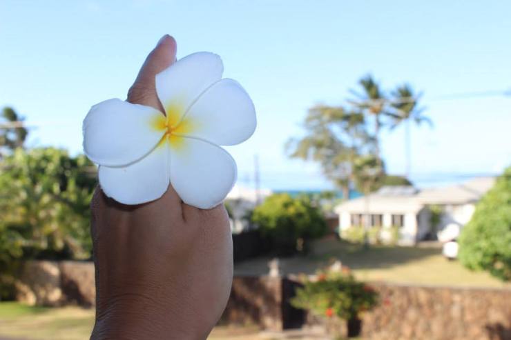 10592662_10154449382585297_528760136631210632_n