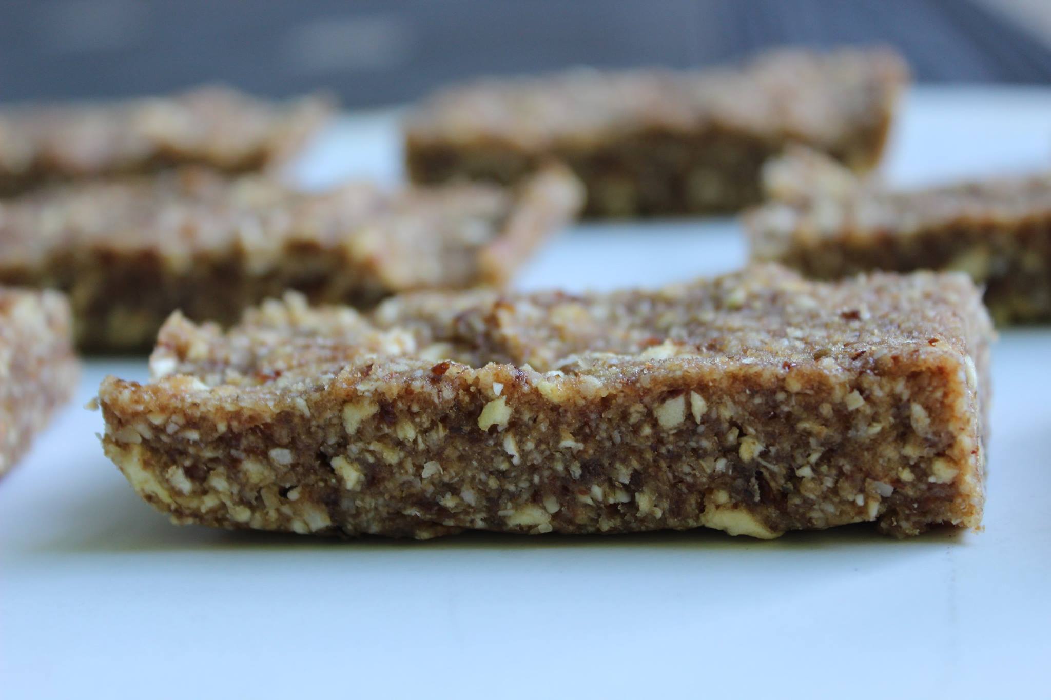 11731893_10155880183925297_5677641292064721833_o