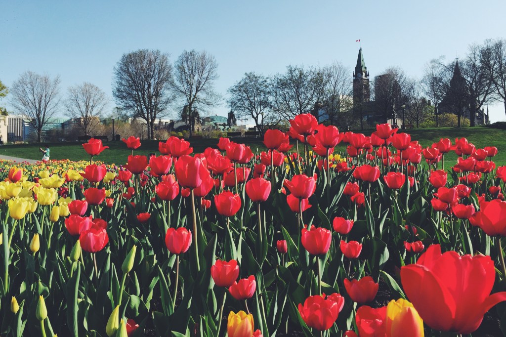 Heidi Wang : The 365&nbsp;Project