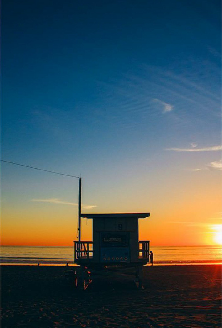 11973237_10205271567251766_130348650_o_edited