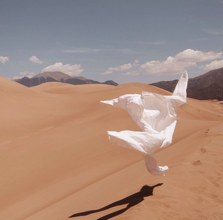 11986218_10205271567451771_1619529118_o_edited