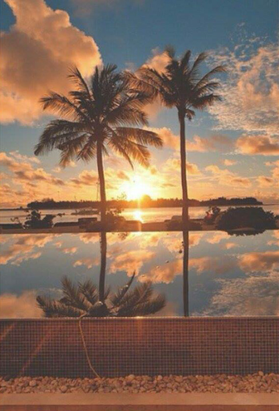 11990742_10205271565211715_2345657_o_edited